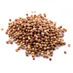 Korianderfrø, hele • Coriander seeds • Dhania