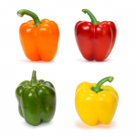 Peberfrugt • Bell pepper • Simla Mirch