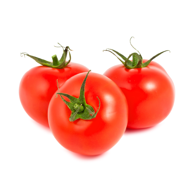 Tomat • Tomato • Tamatar