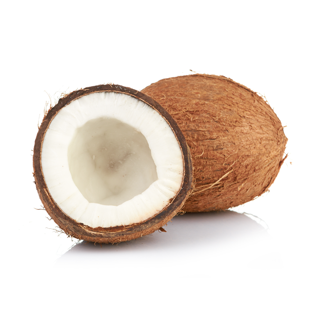 Kokosnød • Coconut • Narial